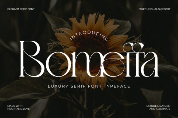 Bomeffa Regular: A Serif Font for Impactful Digital Design