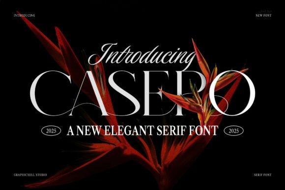 Casero: The Serif Font That Elevates Your Brand