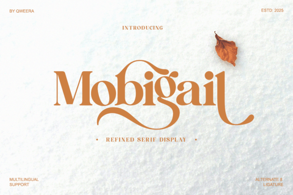 Font Review: Mobigail for Web Design