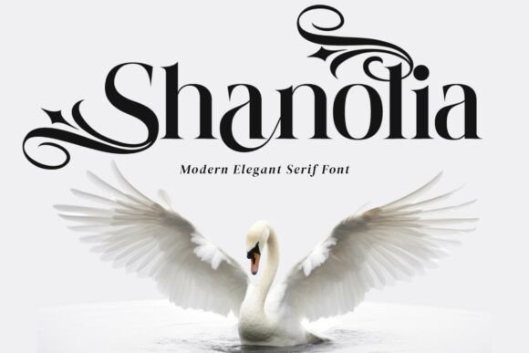 Shanolia: The Font That Elevates Every Campaign